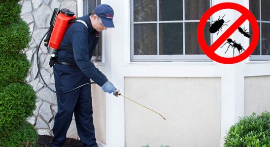 Buldan Hamam Böceği İlaçlama böcek ilaçlama ve haşere kontrolü — ilaclama-tr.com